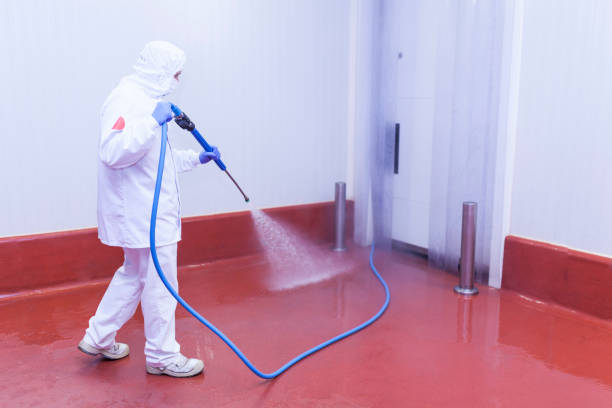 Best Solar Panel Cleaning  in Greenwood, LA